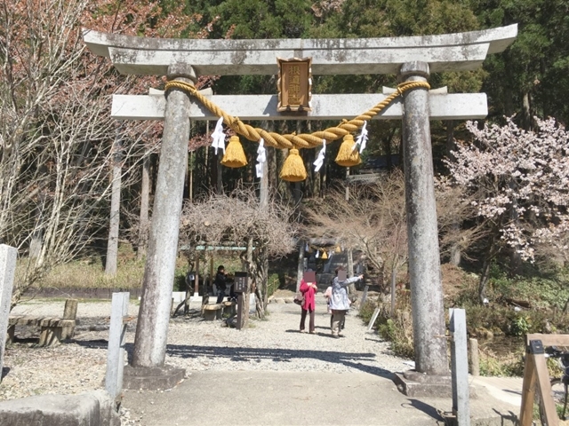 根道神社の鳥居